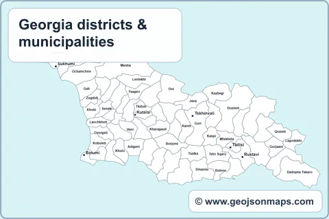 Preview of Georgia districts & municipalities map